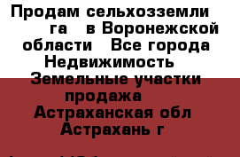 Продам сельхозземли ( 6 000 га ) в Воронежской области - Все города Недвижимость » Земельные участки продажа   . Астраханская обл.,Астрахань г.